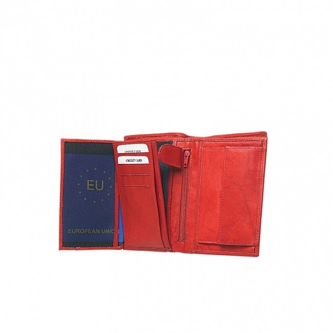 CG-83.jpg_product_product_product_product_product_product_product_product_product_product_product_product_product_product